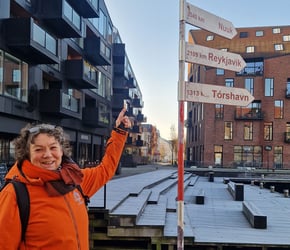 Grønland i Danmark Byvandring og frokost i Tårnet