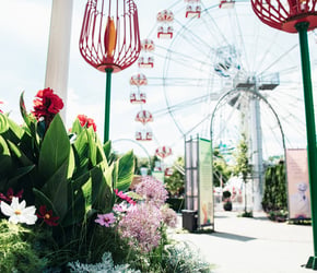 Tivoli Friheden Aarhus
