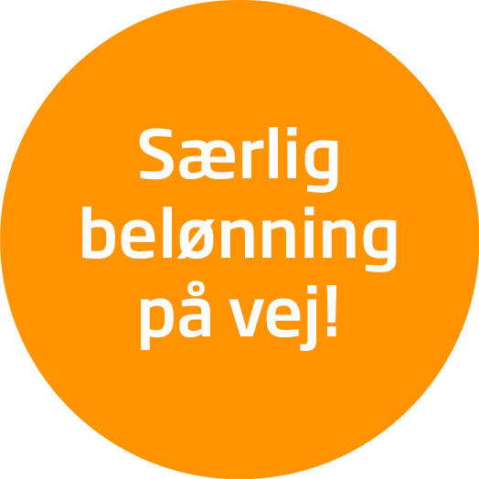 saerlig-beloenning-paa-vej-524x524